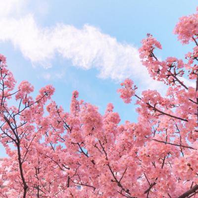 九州霸业手游九游版下载